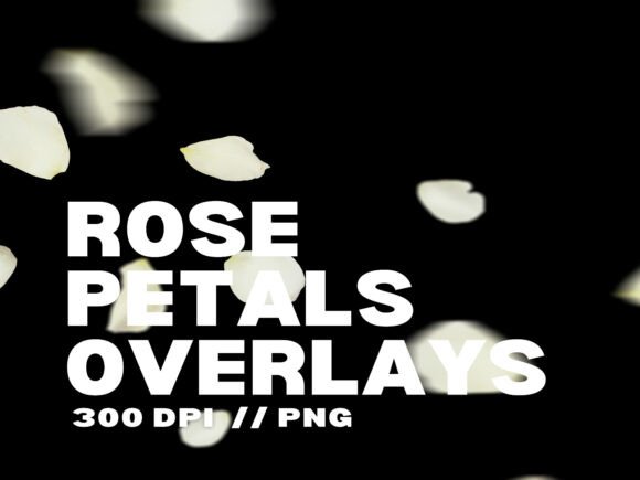 15 Rose Petals Overlays for Romantic Photo Enhancement