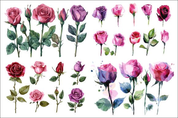 Beautiful Rose Bud Collection: Timeless Elegance for Modern Design and Decor